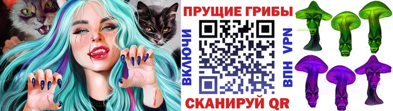 Псилоцибиновые грибы прущие грибы  как найти наркотики  Челябинск 