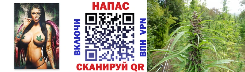 Марихуана конопля  Челябинск 